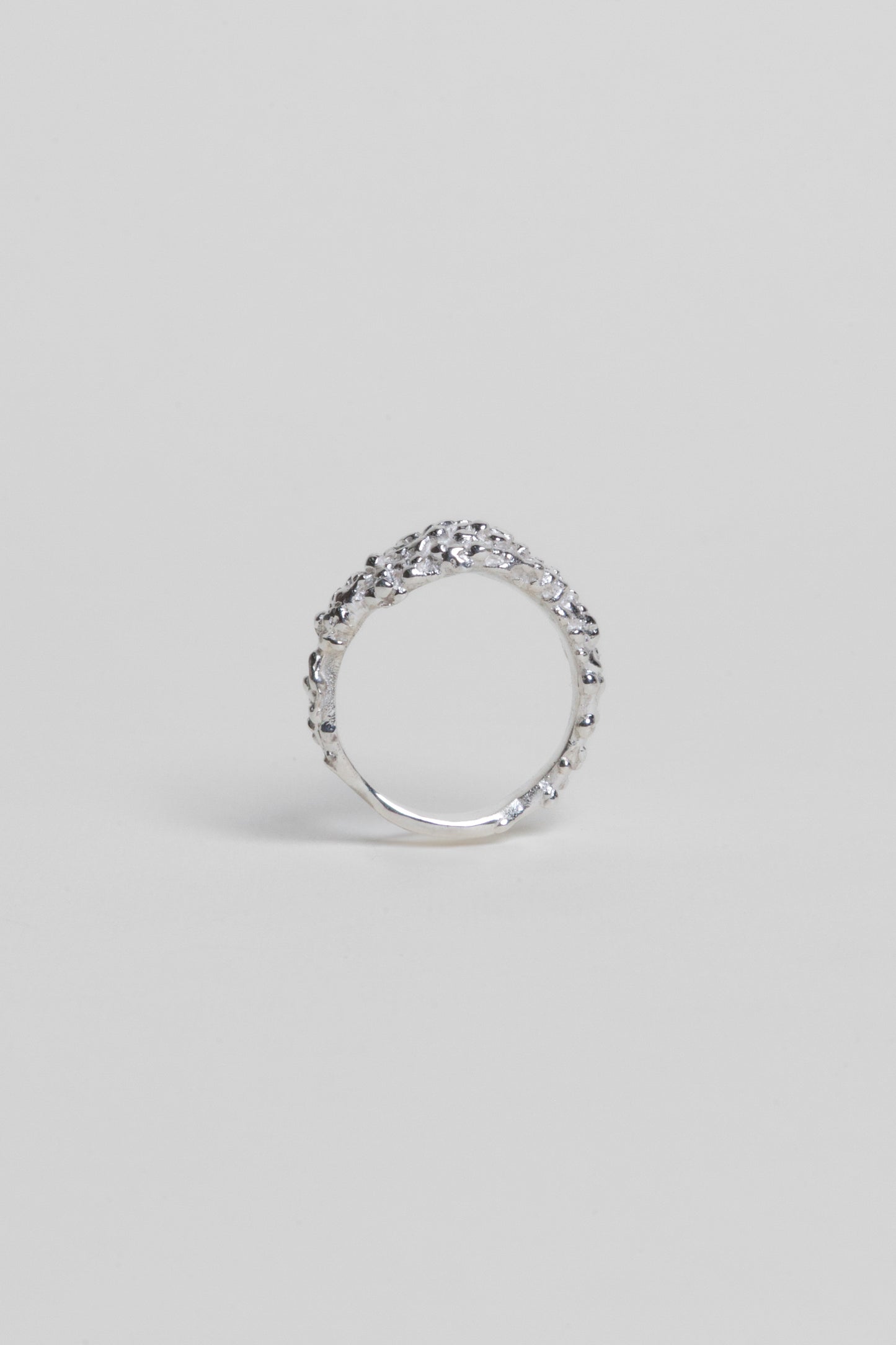 Anillo Zarzamora