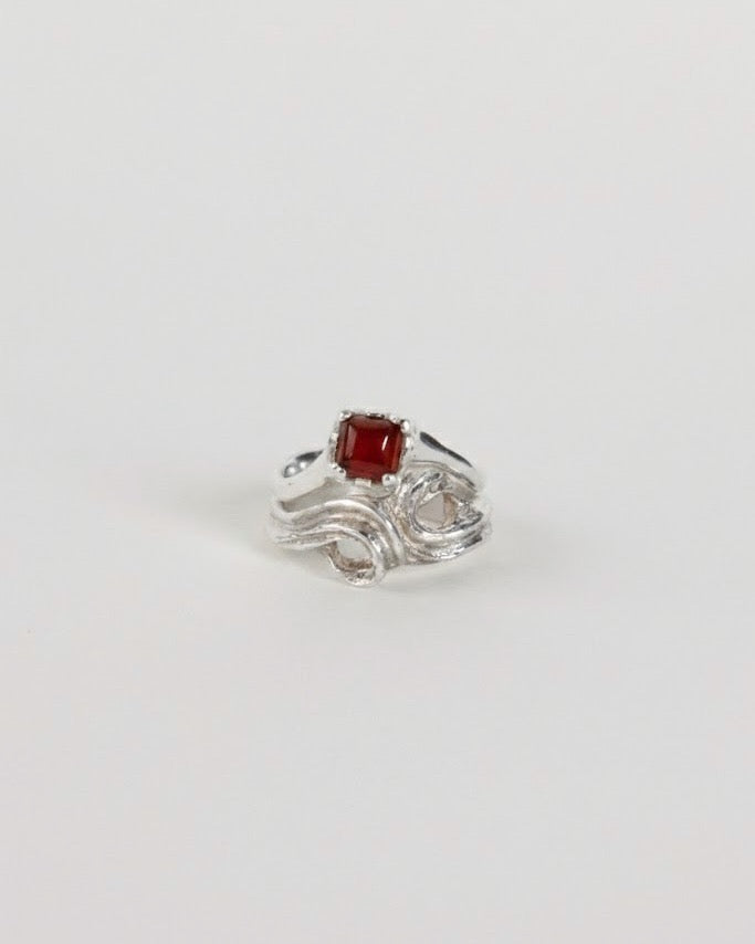 Anillo Hilera