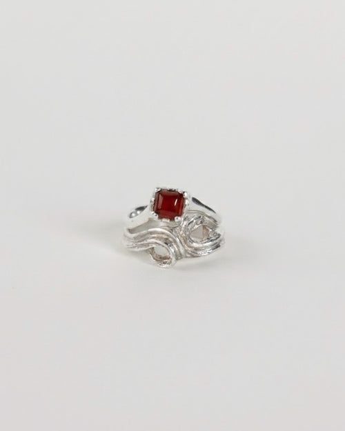 Anillo Hilera