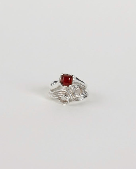 Anillo Hilera
