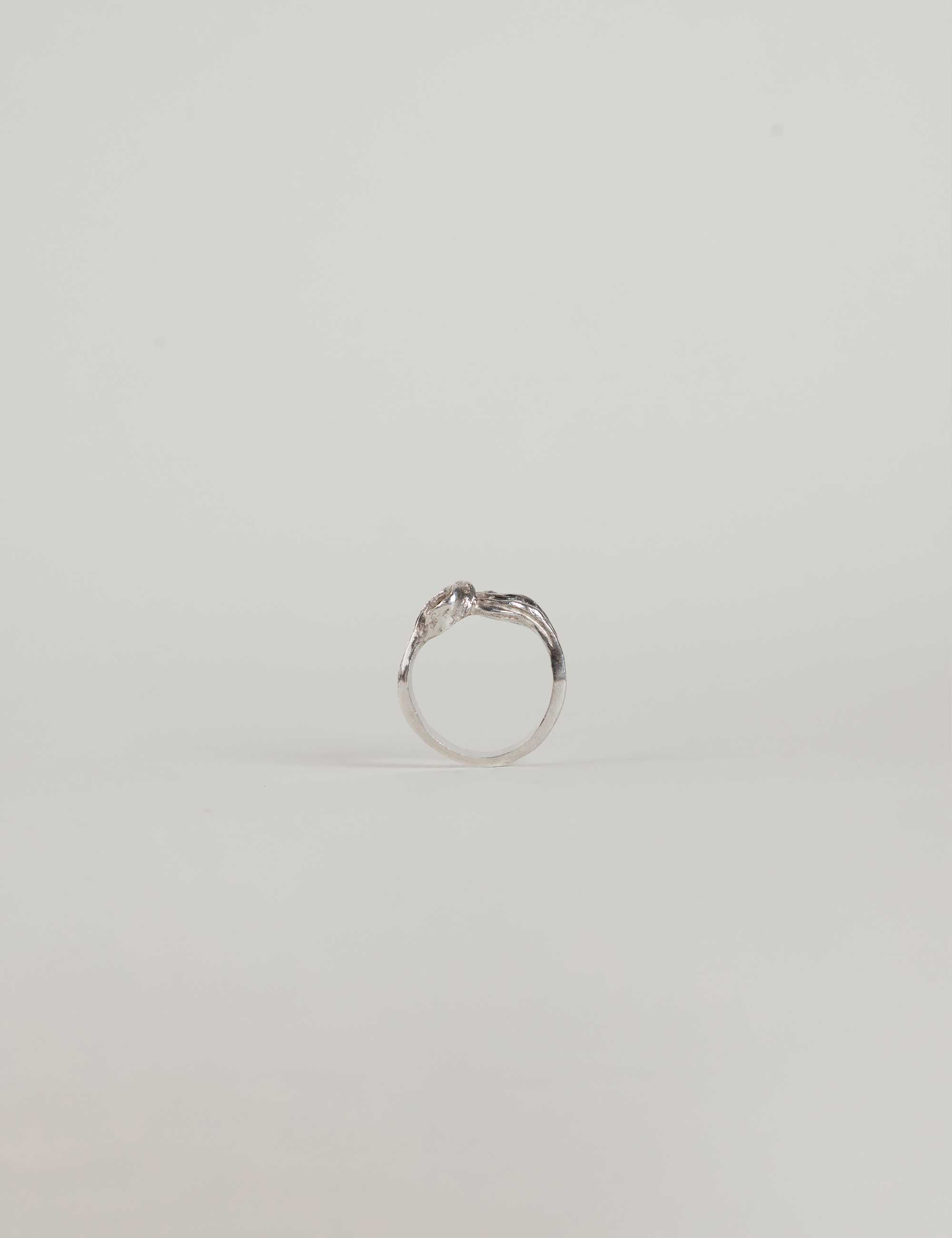 Anillo Bucle