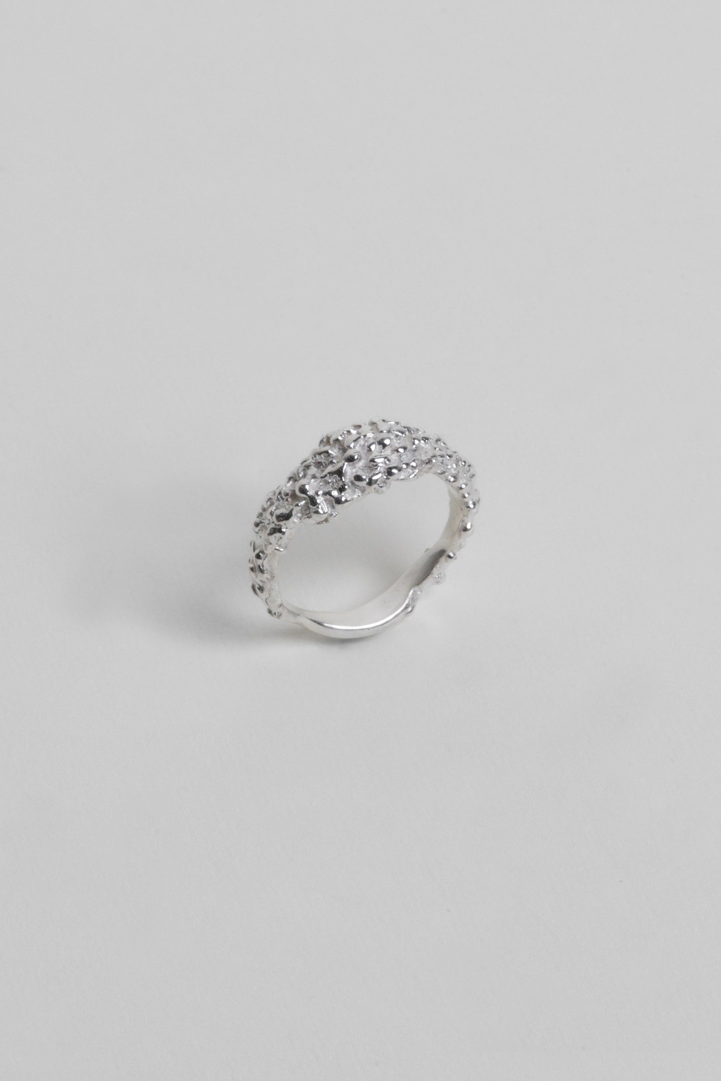 Anillo Zarzamora