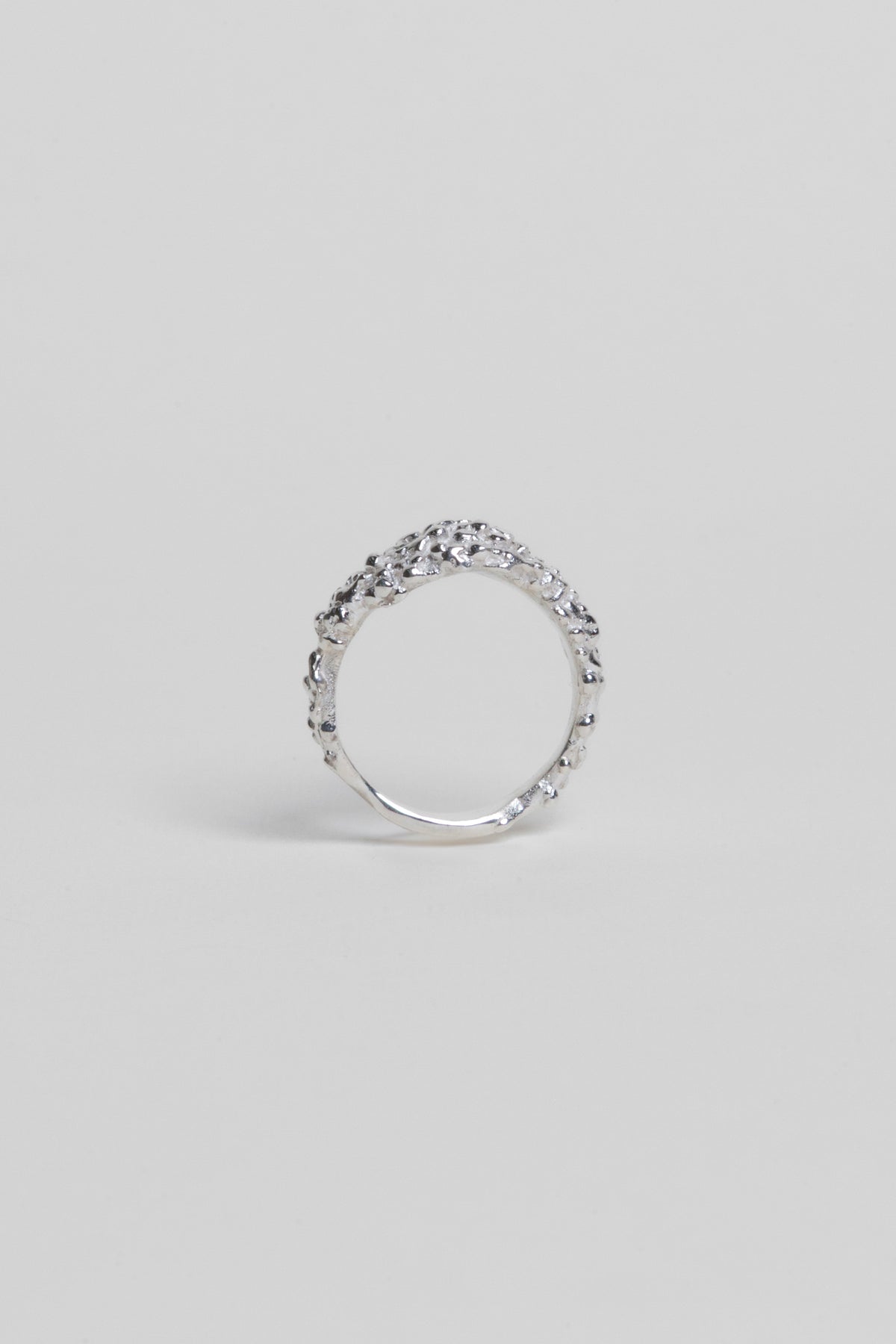 Anillo Zarzamora