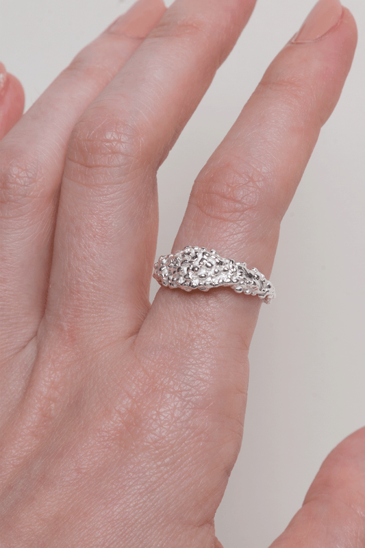 Anillo Zarzamora
