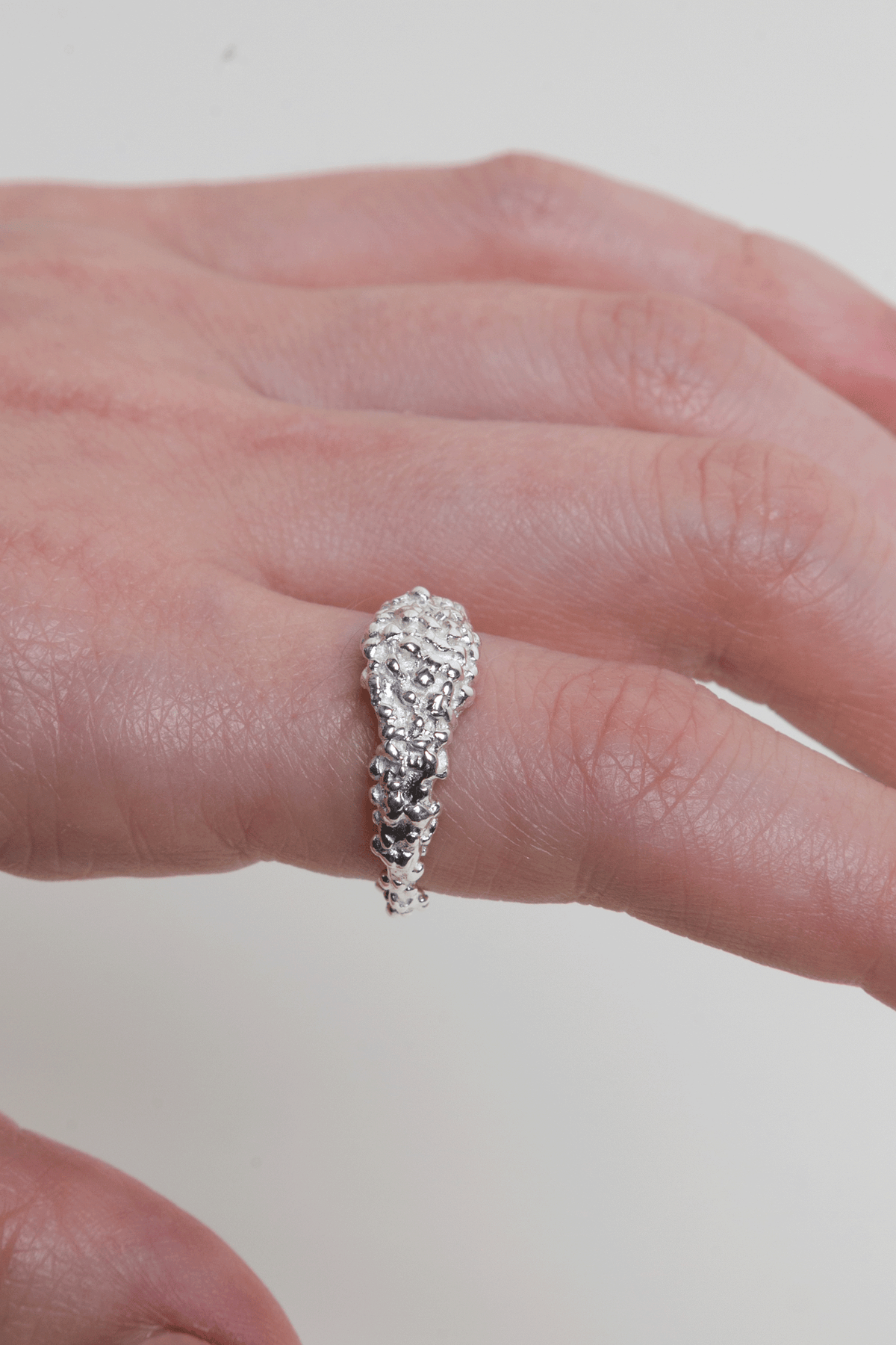 Anillo Zarzamora