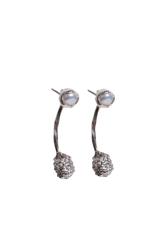 Aretes Zarzamora